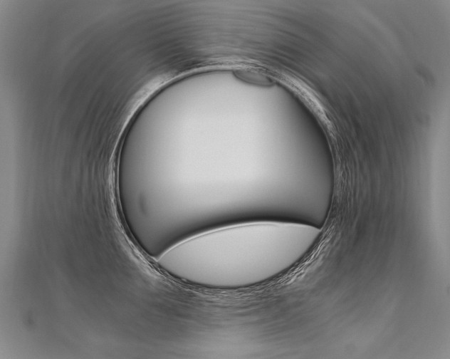 X0000110690907200906121053