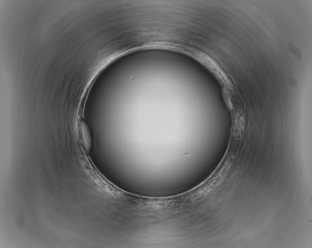 X0000110690908200906121053