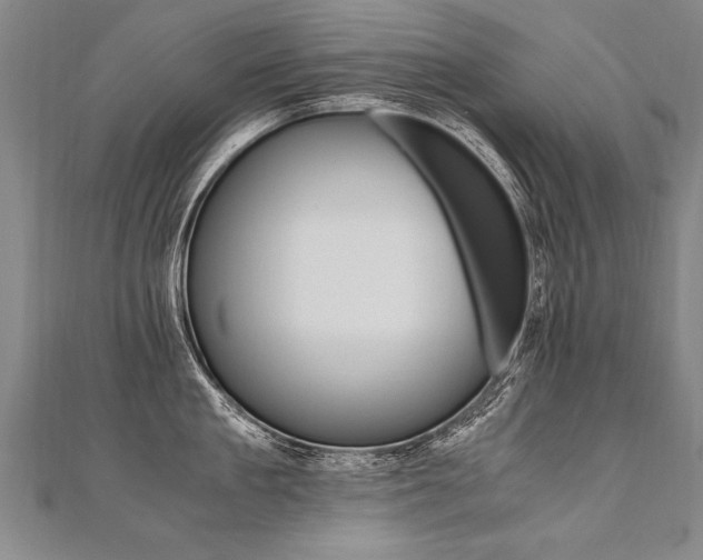 X0000110690909200906121053