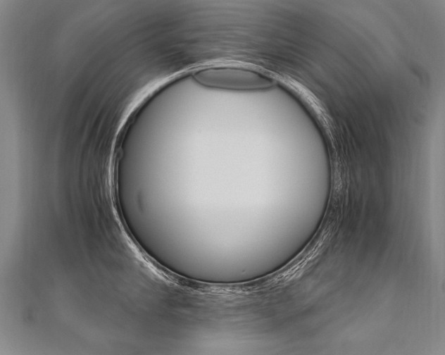 X0000110690910200906121053