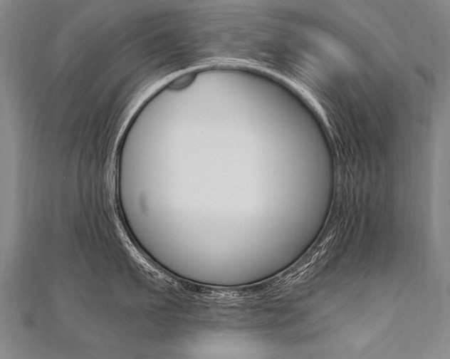 X0000110690911200906121053