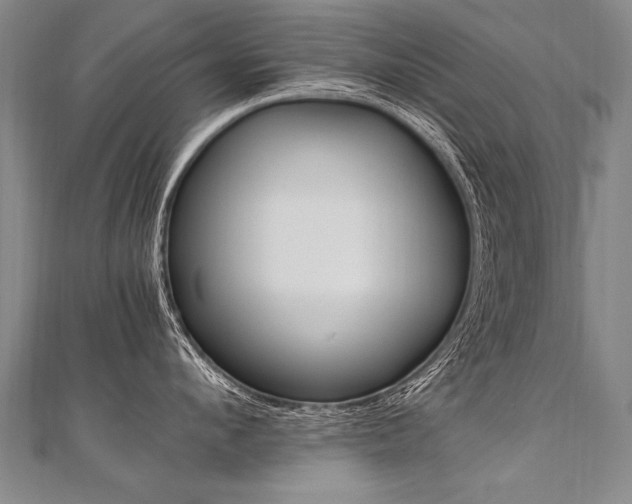 X0000110690912200906121053