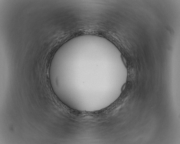 X0000110690913200906121052