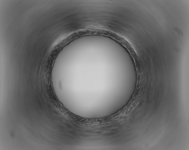 X0000110690919200906121052