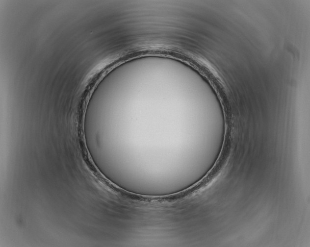 X0000110690922200906121052