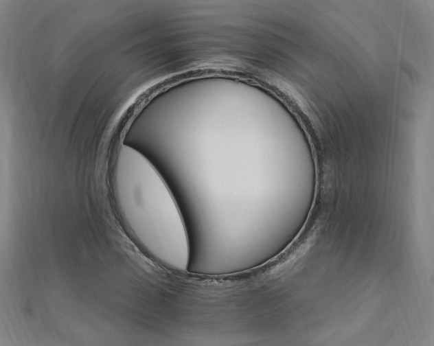 X0000110690923200906121052