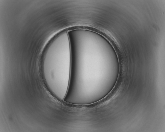 X0000110690926200906121052
