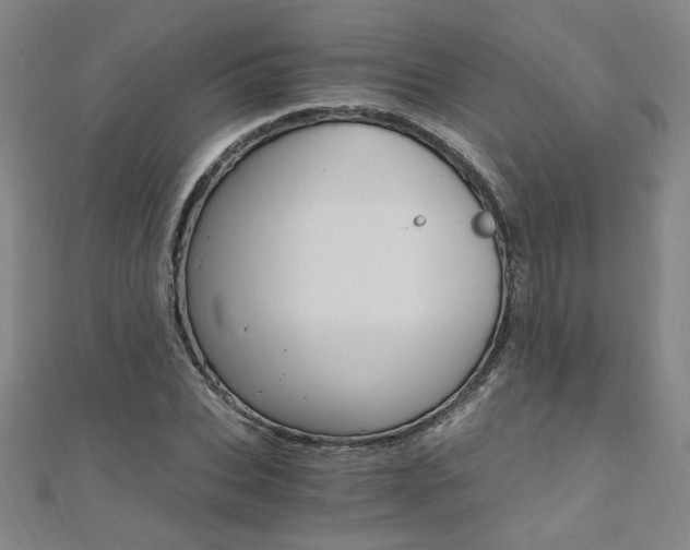 X0000110690927200906121052