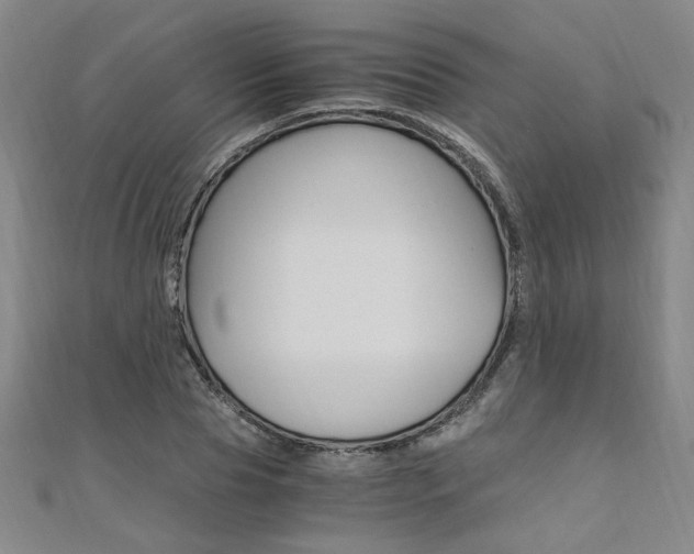 X0000110690929200906121052