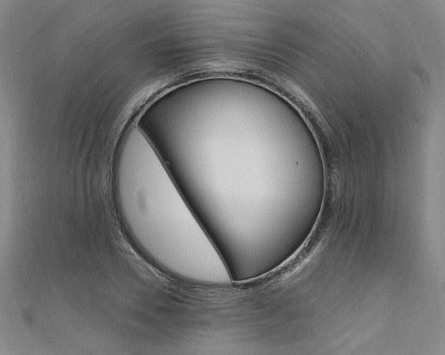 X0000110690930200906121052