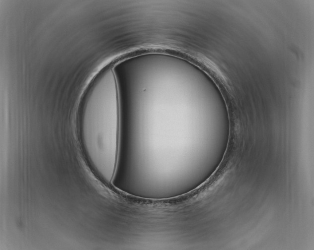 X0000110690934200906121052