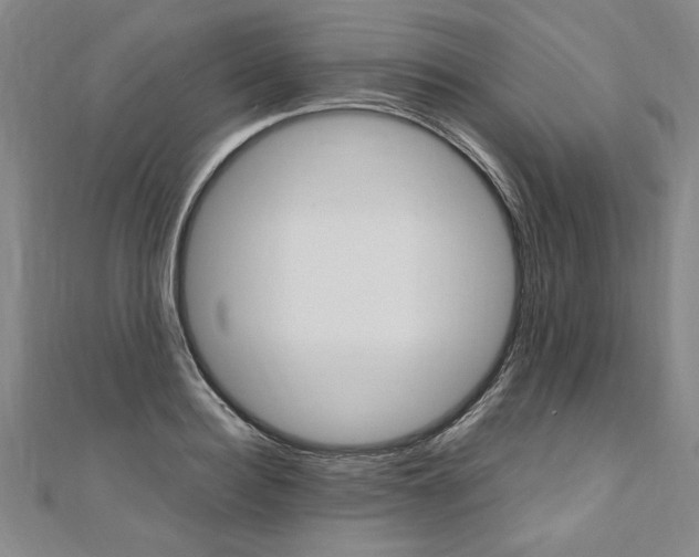 X0000110690940200906121052