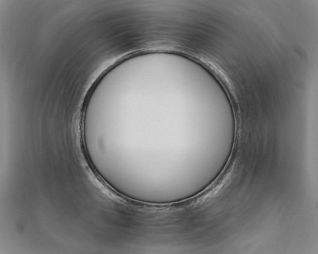 X0000110690941200906121052