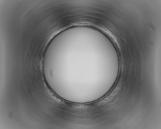 X0000110690945200906121053