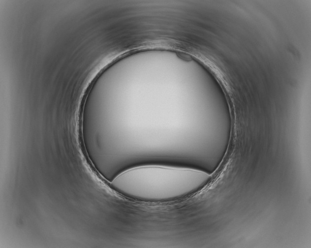 X0000110690949200906121053