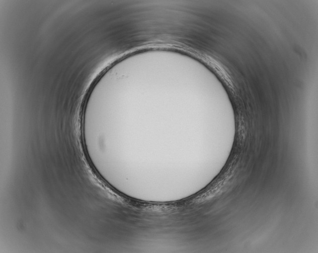 X0000110690950200906121053