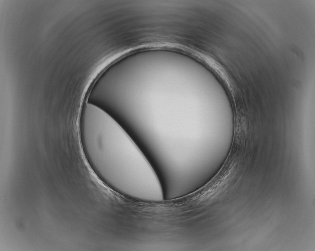 X0000110690951200906121053