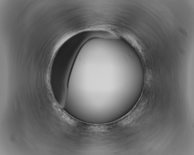 X0000110690952200906121053
