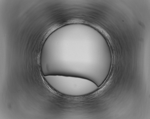 X0000110690953200906121053