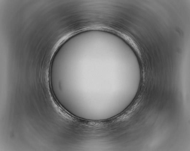 X0000110690954200906121053