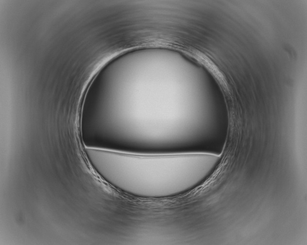 X0000110690956200906121053
