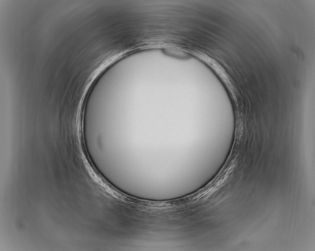 X0000110690957200906121053