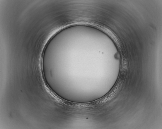 X0000110690958200906121053