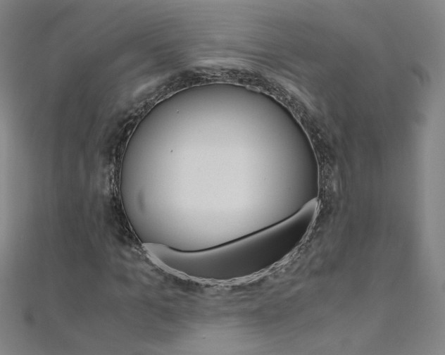 X0000110690965200906121052