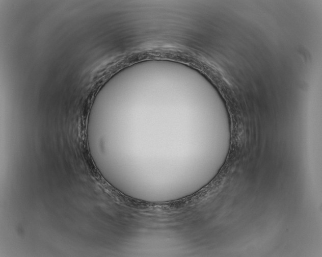 X0000110690966200906121052