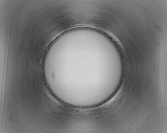 X0000110690969200906121052