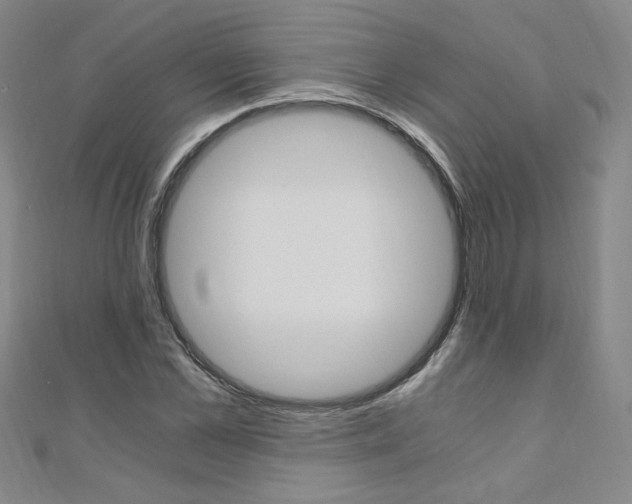 X0000110690973200906121052