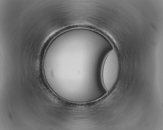 X0000110690975200906121052