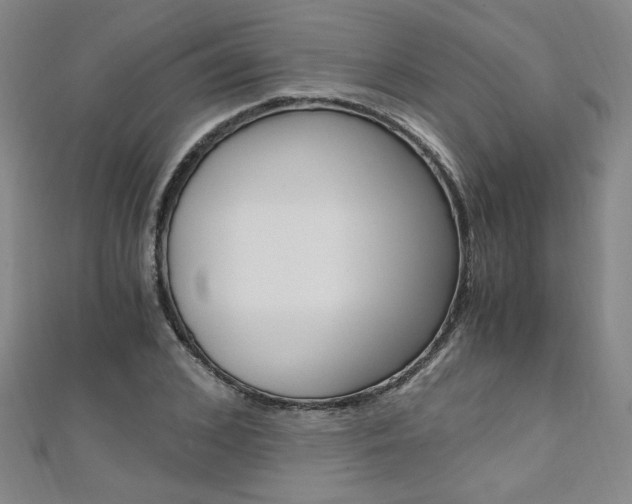 X0000110690976200906121052