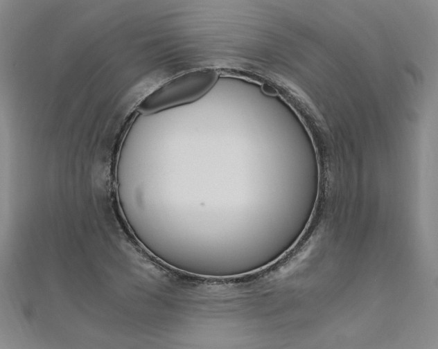 X0000110690977200906121052