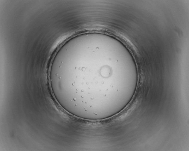 X0000110690978200906121052