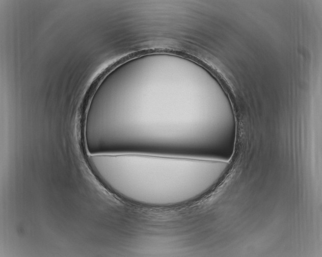 X0000110690983200906121052