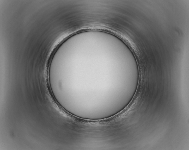 X0000110690990200906121052