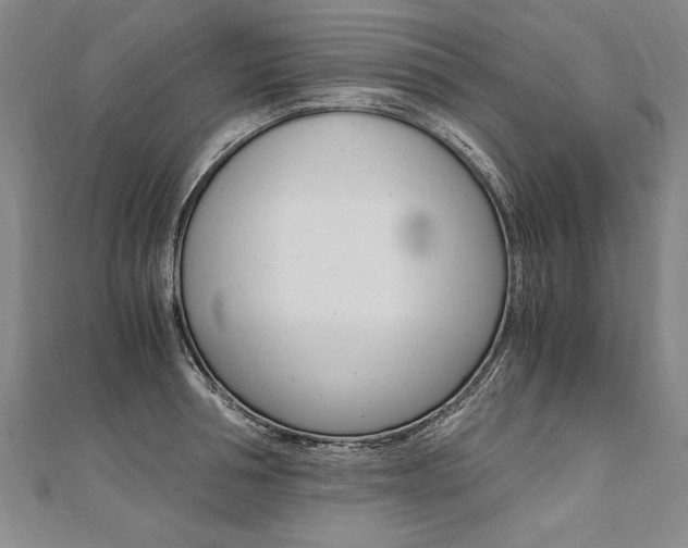 X0000110690994200906121052