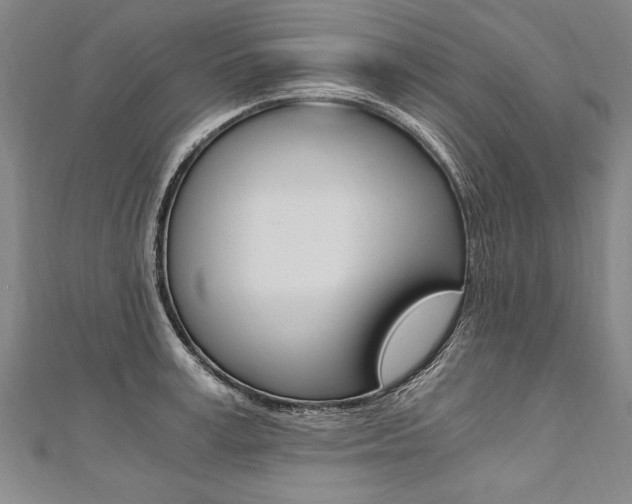 X0000110690995200906121052