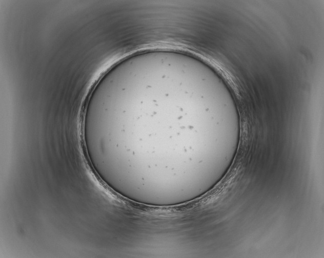 X0000110690998200906121052