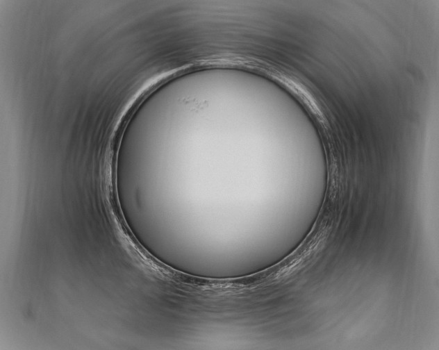 X0000110691000200906121052