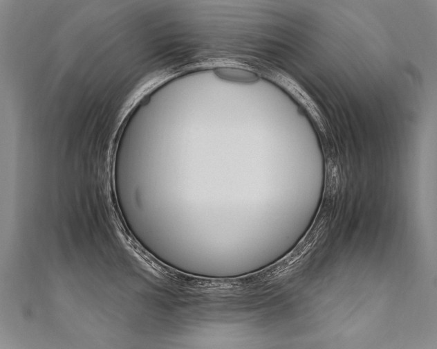 X0000110691002200906121052
