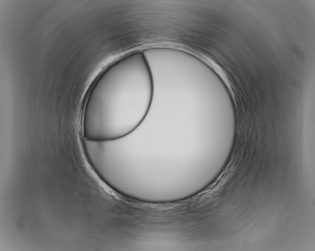 X0000110691005200906121052