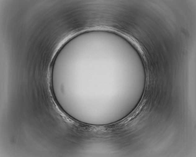 X0000110691006200906121052