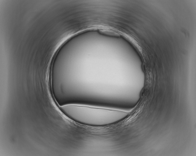 X0000110691007200906121052