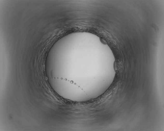 X0000110691009200906121051