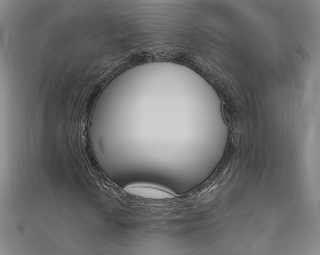 X0000110691010200906121051