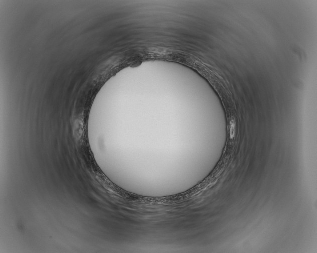 X0000110691011200906121051