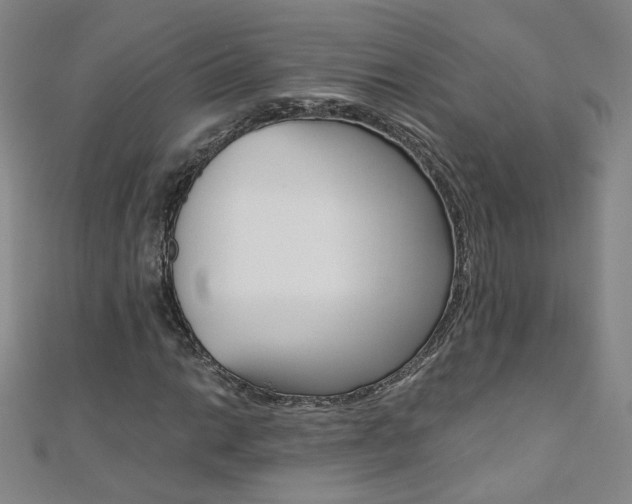 X0000110691014200906121051