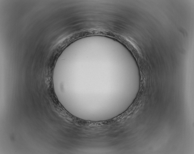 X0000110691015200906121051